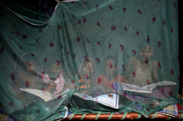 Fighting with Malaria. Children enjoy a summer afternoon sitting inside a mosquito net recently distributed by local health department at a plasmodium falciparum malaria prone area in a remote village in Birbhum, India to prevent mosquito borne diseases. Living far below poverty level these tribal families rarely manage to purchase mosquito net/ repellent resulting to a high death toll in the areas. Credit: Sudipto Das